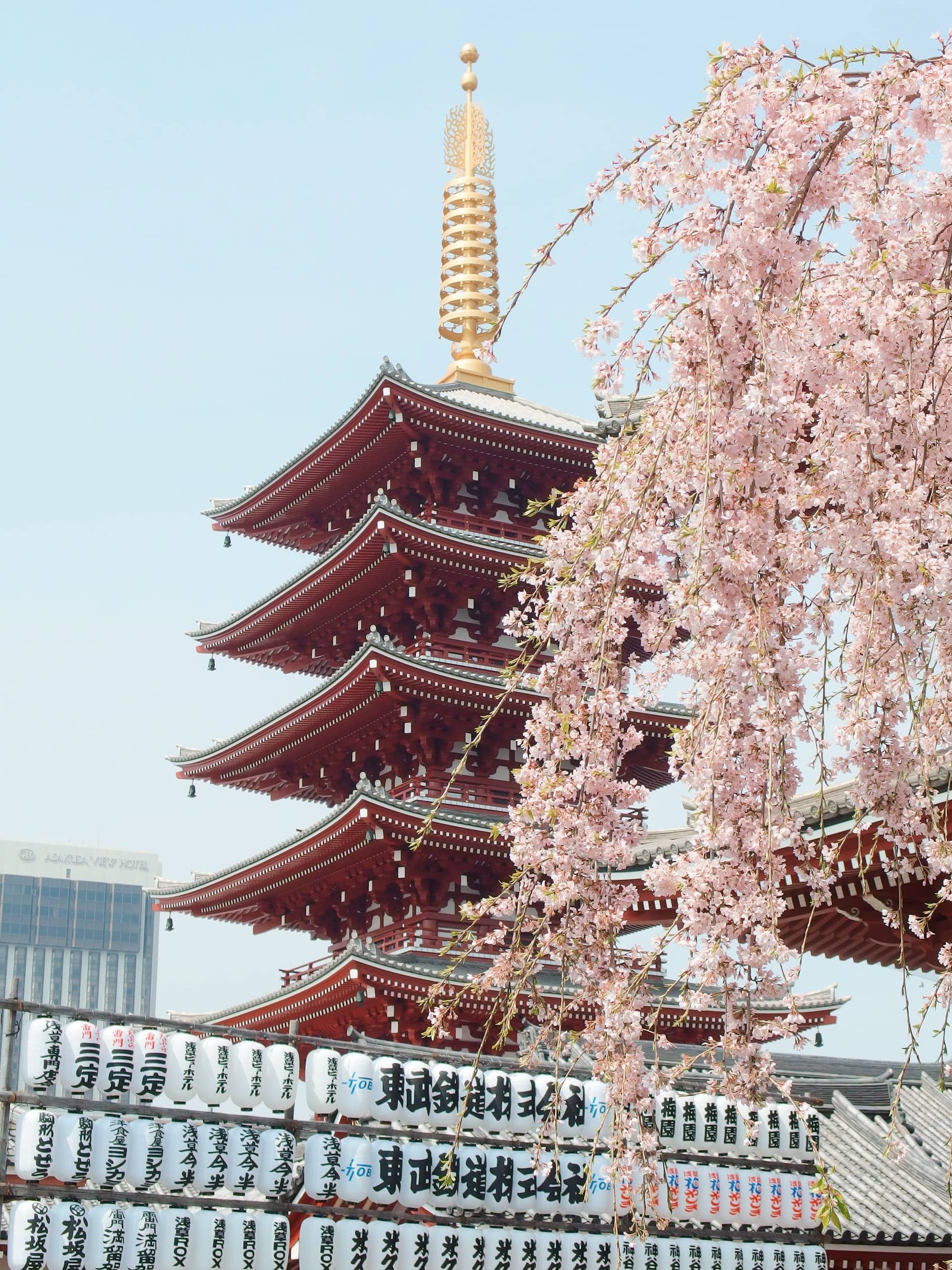 vue d'un temple japonais