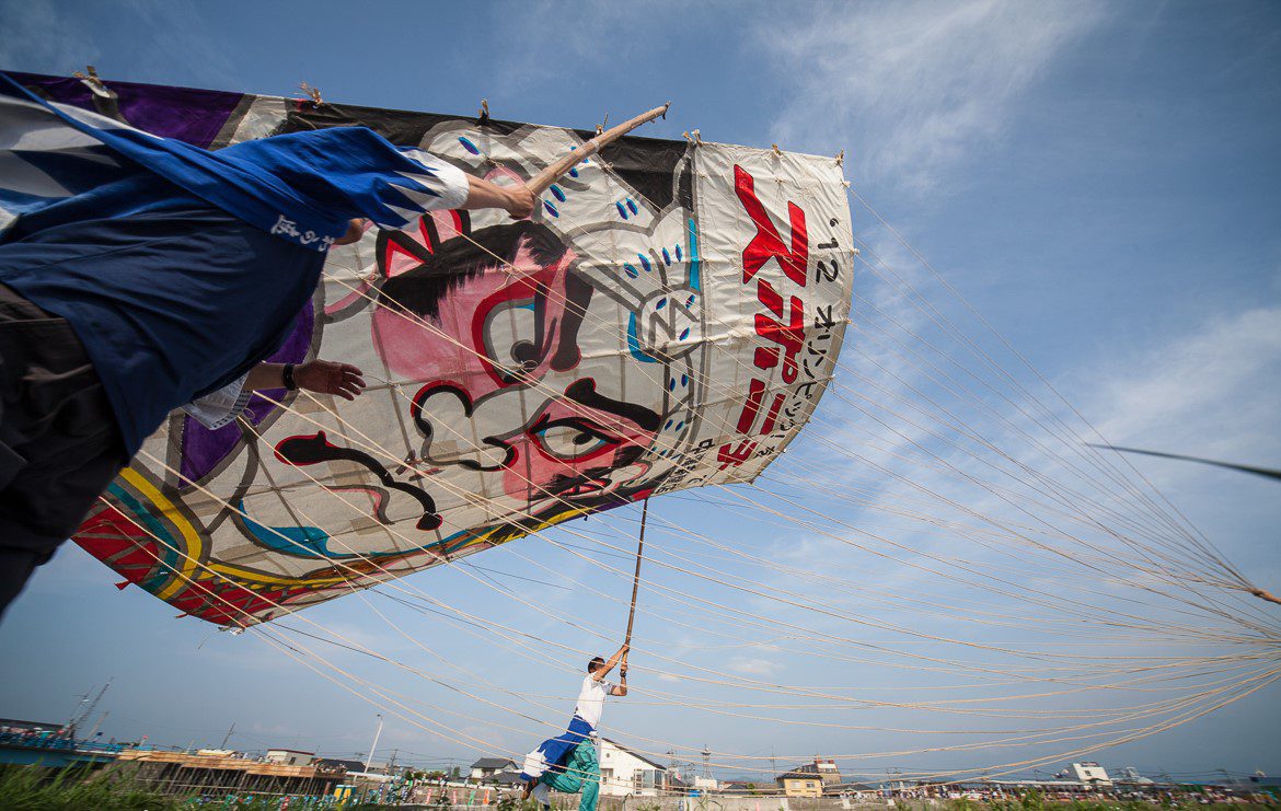 cerf volant
