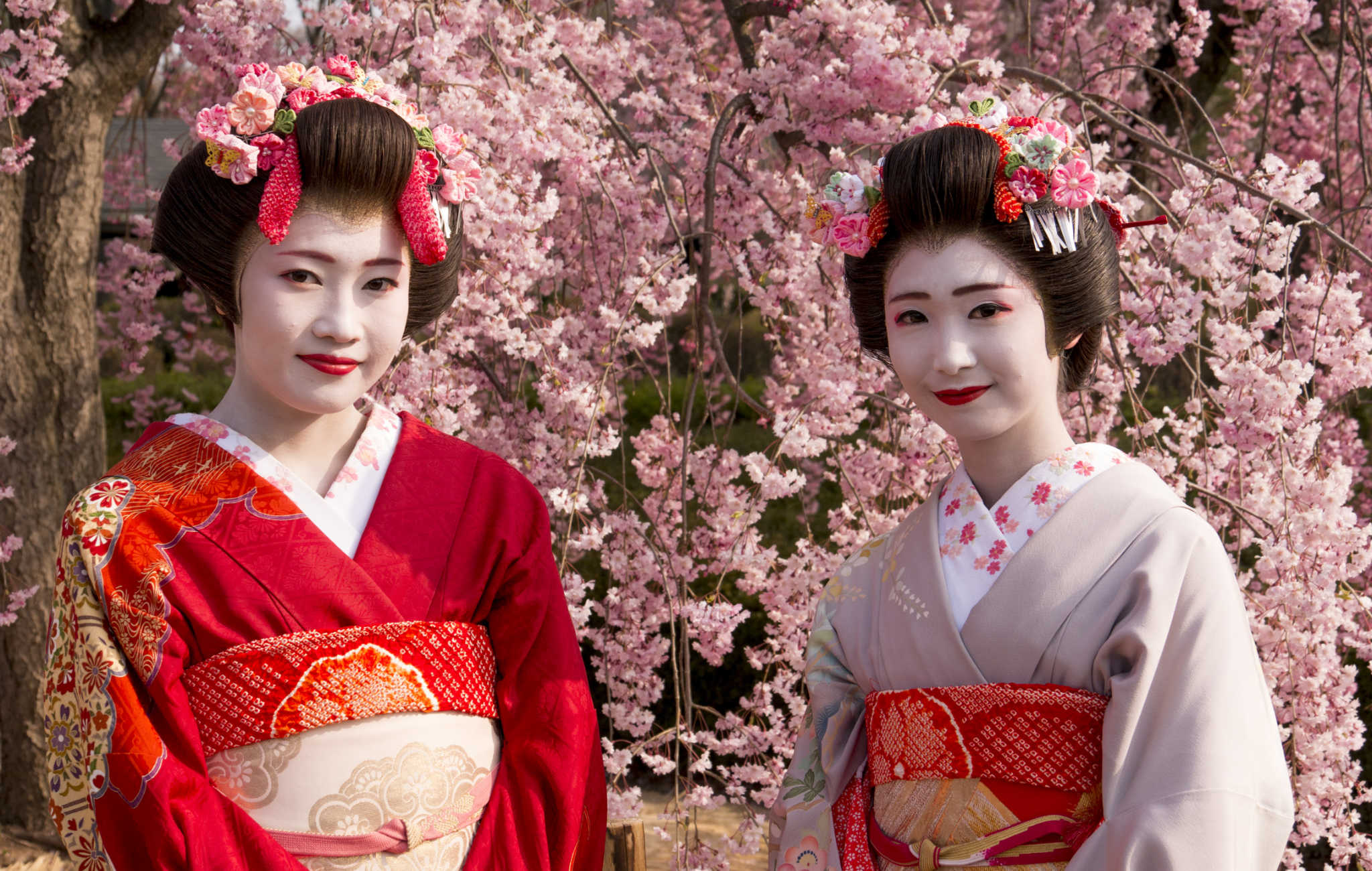 geisha