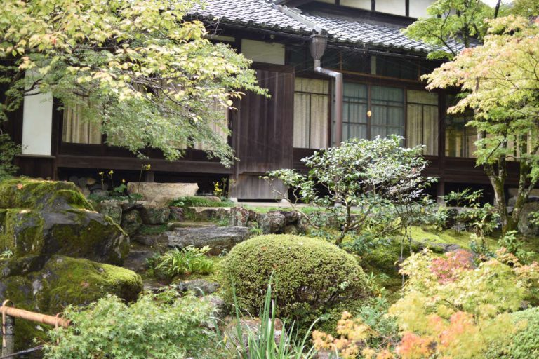 jardin japonais vegetation