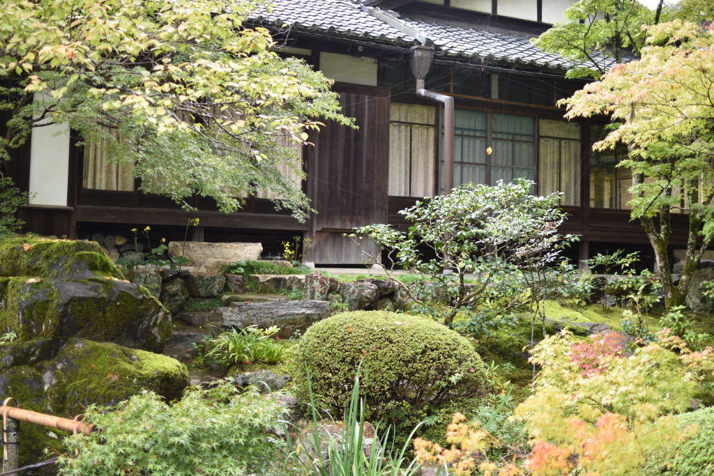 jardin japonais vegetation