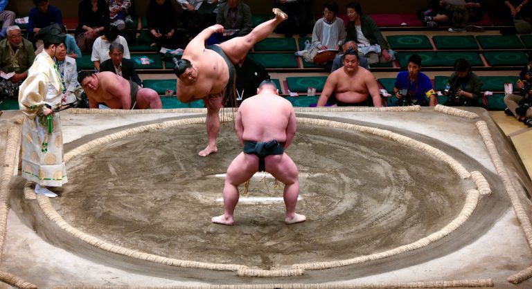 sumo