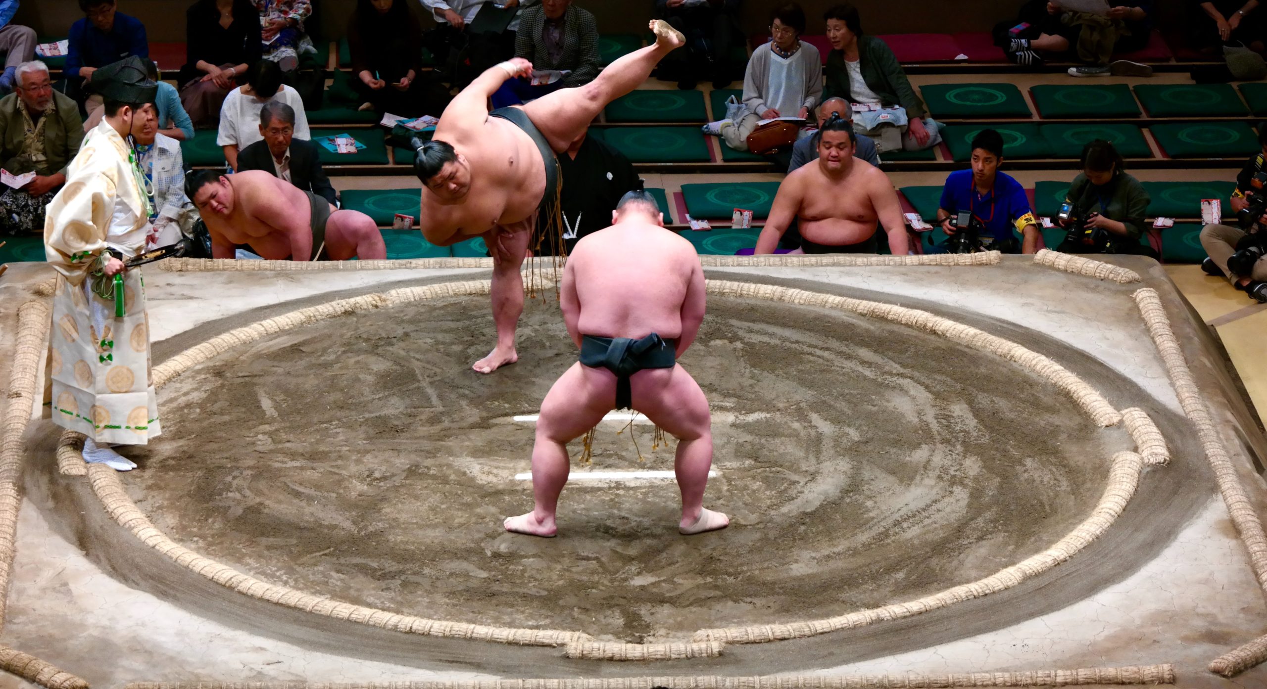sumo