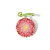 Fruit-brooch-of-my-en-mail-pins-badge-hats-clothing-decoration-of-bag.jpg_640x640.jpg_ (2) 8 Pin's Japonais Fruit du Démon - Image 7