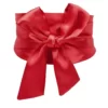 Kimono-en-satin-pour-femmes-ceinture-ronde-ceinture-large-ceinture-Cinch-pour-robe-combinaison-chemise.jpg_640x640.jpg_ (3).jfif Ceinture Obi Traditionnelle - Rouge